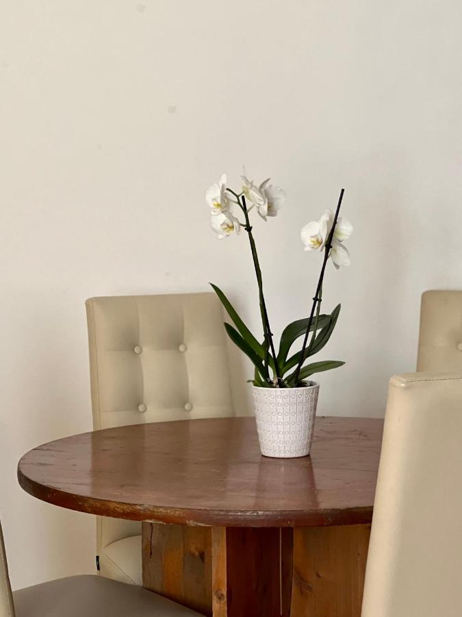 Novi Ligure Private Apartment Luaran gambar